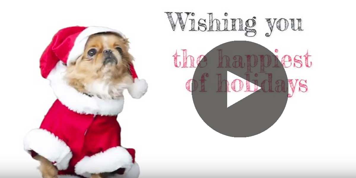 Holiday video with play movie button