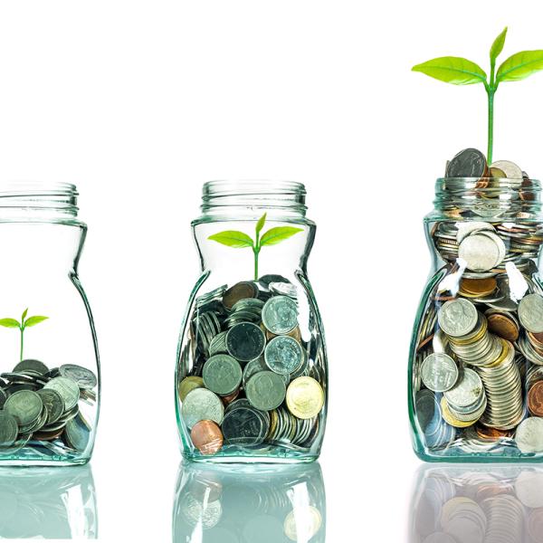 How to Grow your Mutual Fund