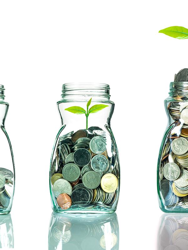 How to Grow your Mutual Fund